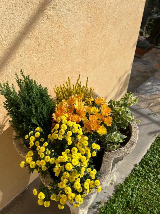 Agriturismo Le Merline Arnasco Екстериор снимка